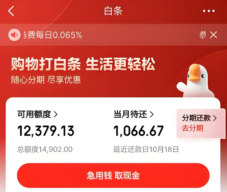 京东白条取现的现状解读
