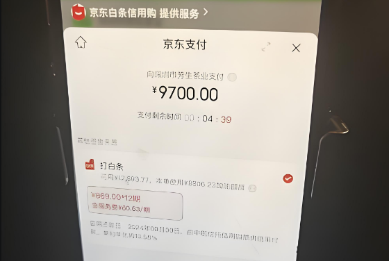 京东白条支付是什么意思呢？2025年如何使用和避免风险？