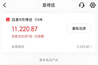 靠谱的！京东白条使用指南（附带2025年最新详细教程）