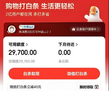 京东白条如何使用？2025年揭秘十五个操作步骤