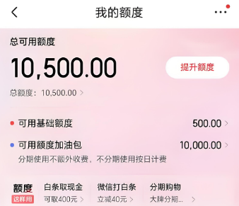京东白条怎么安全使用？十五种高效变现方式，你不可不知！ 