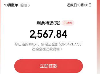 京东白条额度如何使用？揭秘白条额度的最佳操作方法