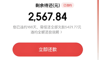 京东白条额度提升全攻略：2025年最新十四个实用教程帮你轻松实现