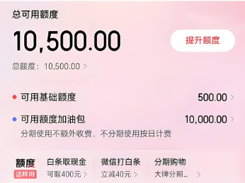 京东白条使用全攻略：2025年拯救你的资金问题