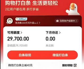 四种京东白条使用方法，快速安全使用不再难