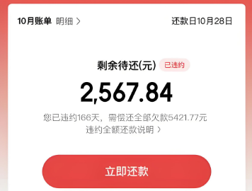 京东白条怎么安全使用？2025年小编整理了最新的15个办法
