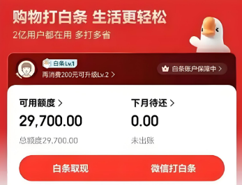 京东白条额度如何使用？2025年揭秘最新白条额度的最佳安全操作方法