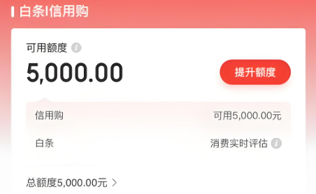 可以安全使用京东白条吗？2025年最新京东白条安全使用攻略，合法与风险全解析