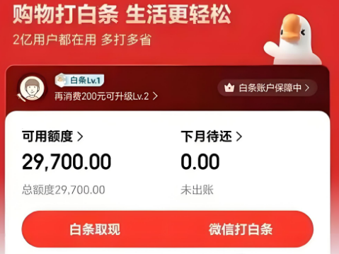 白条付费额度怎么使用？十八个简单方法让你轻松搞定！（2025年最新避坑指南）