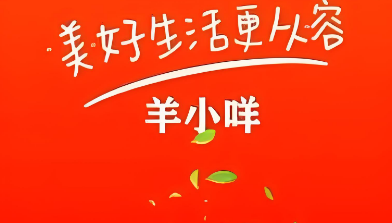 羊小咩便荔卡使用全攻略？2025年这些坑千万别踩！附真实案例和避雷指南