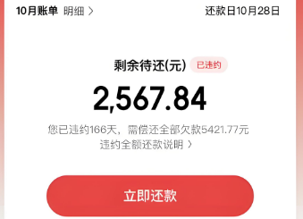 京东白条额度使用全解析，2025年全面分享风险须知和安全合规使用建议