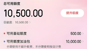 京东白条使用方法有那些？京东白条使用与额度套出分享