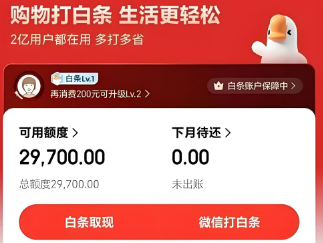 2025最新京东白条使用15个方法以及注意事项！