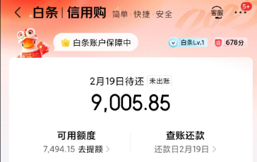 京东白条怎么使用正确的做法？2025年最新京东白条的合法用途，全新用法让你买得轻松