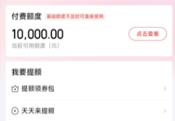 京东白条使用快速秒回：掌握最新这五招，找商家轻松搞定，让资金流转更顺畅