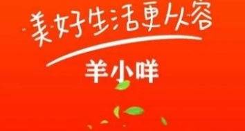 羊小咩便荔卡包怎么使用？2026最新合规攻略+安全实操教程