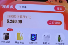 桃多多额度操作攻略，2026年最新揭秘技巧与案例分析