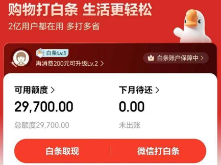 京东白条使用指南，2026年最新五大可靠方法教你应急方法