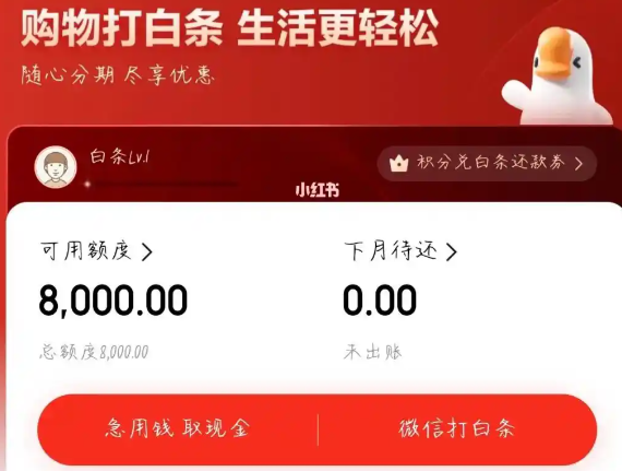 京东白条合规使用全解析，2026年最新官方路径正规消费操作和成本明细透明化！ 