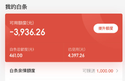 白条使用全攻略：安全操作技巧与注意事项分享