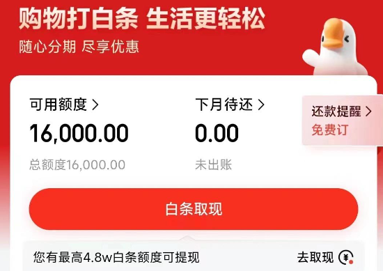 京东白条申请全攻略，新手也能轻松开通额度