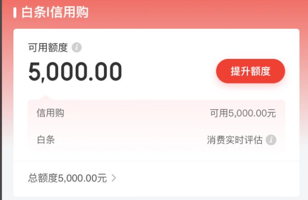 京东白条使用全攻略：手把手教你安全转现技巧