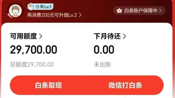 京东白条商家使用：满足您资金需求的有效途径，2026年实用攻略分享