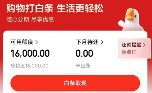 2026年京东白条使用17种实用方法，附避坑指南，超详细操作+风险规避