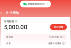 2026年最新白条套取现金最佳方法，这15 种绝招,及具体操作流程要知道！