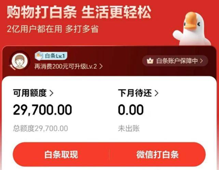 2026年最新京东白条套现 17 种实用方法，安全实操经验+附避坑指南