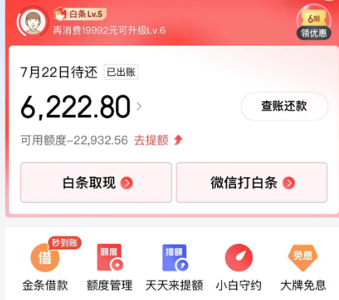 京东白条找商家兑现全新攻略大总结，解锁最新提现多种高效安全变现新技巧