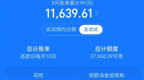 花呗取现全流程解析：十三招突破风控限制，安全套花呗操作指南