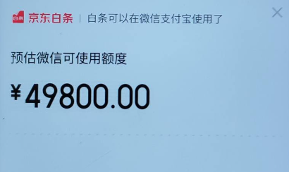 白条换钱的商家全攻略，京东商家类型及安全操作指南（附推荐指数）