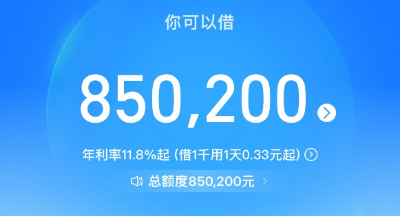 支付宝花呗如何使用现金，2026年最详细的操作步骤来，新手也能一步到位