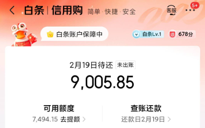 京东白条商家使用全攻略：使用怎么套出资金，秒到操作真不难