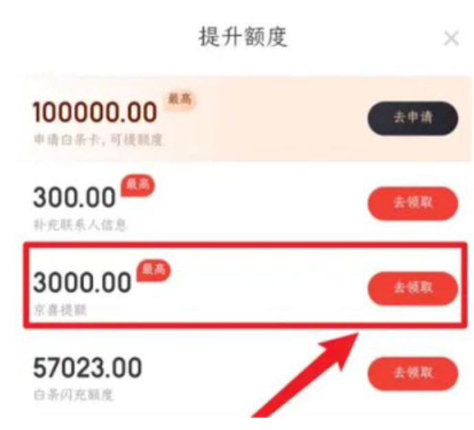  京东白条临时额度使用指南：如何轻松享受购物乐趣
