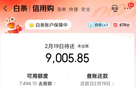 怎么使用京东白条? 2026年京东白条如何付款?